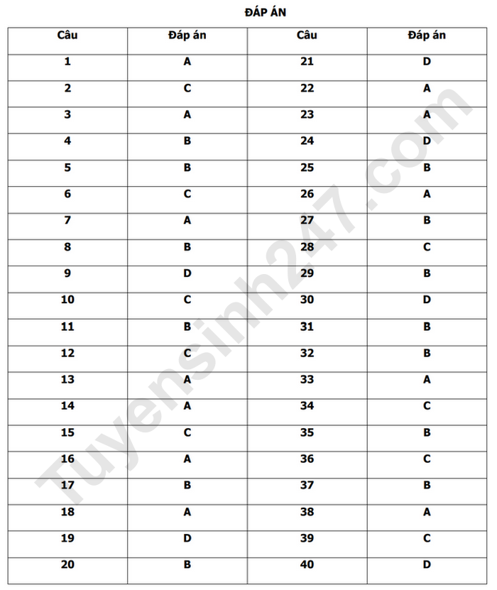 Đề thi thử THPT Quốc gia 2025 môn Tiếng Anh Trường THPT Chuyên Võ Nguyên Giáp có đáp án (ảnh 1)