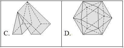 Trắc nghiệm Khái niệm về khối đa diện có đáp án – Toán lớp 12 (ảnh 7)