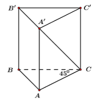 Trắc nghiệm Khái niệm về thể tích của khối đa diện có đáp án - Toán lớp 12 (ảnh 7)