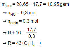 Trắc nghiệm Amin có đáp án - Hóa học lớp 12 (ảnh 1)