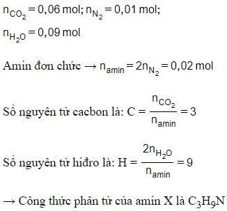 Trắc nghiệm Amin có đáp án - Hóa học lớp 12 (ảnh 1)