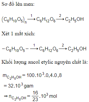 Trắc nghiệm Saccarozơ, tinh bột và xenlulozơ có đáp án - Hóa học lớp 12 (ảnh 1)