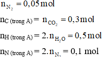 Công thức bài toán đốt cháy amino axit hay nhất – Hoá học lớp 12 (ảnh 1)