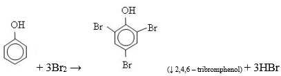 Cho từ từ phenol vào nước brom; stiren vào dung dịch brom trong CCl4 (ảnh 1)