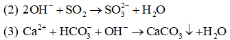Trắc nghiệm Phản ứng trao đổi ion trong dung dịch các chất điện li có đáp án – Hóa lớp 11 (ảnh 1)