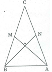 Tam giác ABC có hai trung tuyến AM, BN vuông góc với nhau (ảnh 1)