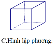 Hình đa diện nào dưới đây không có tâm đối xứng (ảnh 1)