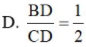 Cho tam giác ABC, AC = 2AB, AD là đường phân giác của tam giác ABC (ảnh 1)