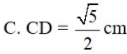 Cho hình thang ABCD (AB // CD) có góc  ˆ A D B = ˆ B C D , AB = 2cm, BD =  √ 5 cmm (ảnh 1)