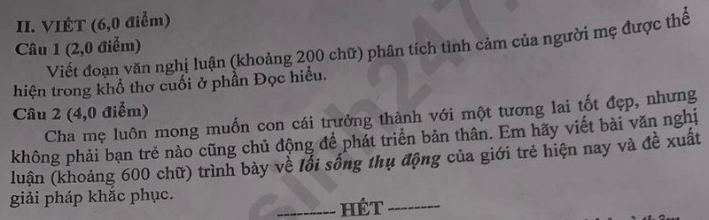 Đề thi vào 10 môn Văn chính thức TP Cần Thơ (2025 - 2026) mới nhất kèm đáp án (ảnh 1)