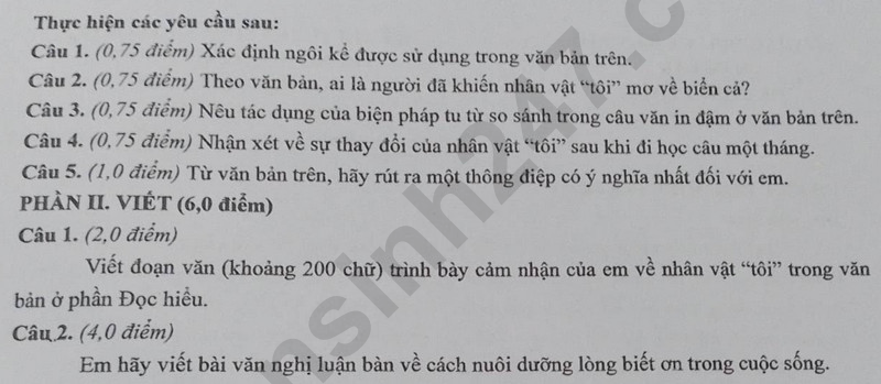 Đề thi vào 10 môn Văn chính thức Tỉnh Đắk Lắk (2025 - 2026) mới nhất kèm đáp án (ảnh 1)