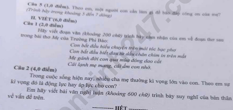 Đề thi v&agrave;o 10 m&ocirc;n Văn ch&iacute;nh thức Tỉnh H&agrave; Giang (2025 - 2026) mới nhất k&egrave;m đ&aacute;p &aacute;n (ảnh 1)