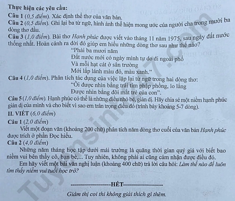 Đề thi vào 10 môn Văn chính thức TP Hà Nội (2025 - 2026) mới nhất kèm đáp án (ảnh 1)