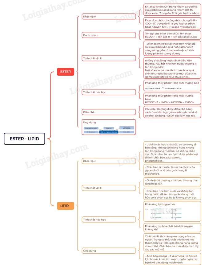 Sách bài tập Hóa 12 Bài 1 (Chân trời sáng tạo): Ester – Lipid (ảnh 1)