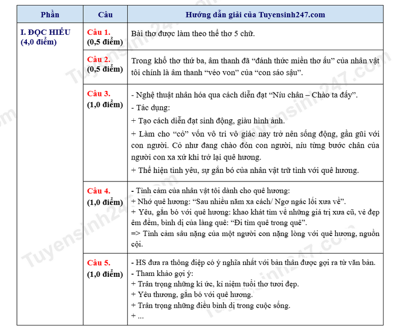 Đề thi vào 10 môn Văn chính thức Tỉnh Thanh Hóa (2025 - 2026) mới nhất kèm đáp án (ảnh 1)
