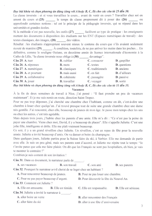 Đề minh họa tốt nghiệp THPT 2025 môn Tiếng Pháp (có đáp án)  (ảnh 1)