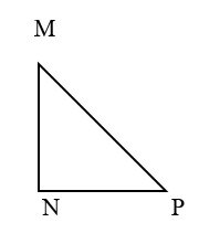 Các dạng toán về Hình tam giác lớp 5 và cách giải (ảnh 1)