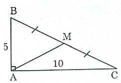 Tính độ dài đường trung tuyến ứng với cạnh huyền của một tam giác vuông (ảnh 1)