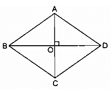Cạnh của một hình thoi bằng 25, một đường chéo bằng 14 (ảnh 1)
