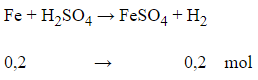Cho sắt tác dụng với dung dịch H2SO4 loãng (ảnh 1)