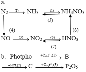 Viết phương trình hóa học thực hiện các dãy chuyển hóa sau: N2, NH3 (ảnh 1)