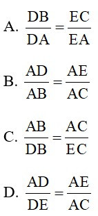 Trắc nghiệm Định lý đảo và hệ quả của định lý Ta-let có đáp án – Toán lớp 8 (ảnh 3)