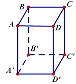 Trắc nghiệm Hình hộp chữ nhật có đáp án - Toán lớp 8 (ảnh 2)