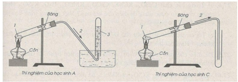 Trong bài thực hành thu khí oxi vào ống nghiệm (ảnh 1)