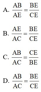 Trắc nghiệm Tính hóa học lối phân giác của tam giác với đáp án – Toán lớp 8 (ảnh 15)