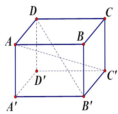 Trắc nghiệm Hình hộp chữ nhật (Tiếp theo) có đáp án - Toán lớp 8 (ảnh 2)