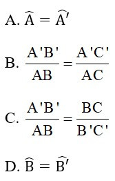 Trắc nghiệm Khái niệm về hai tam giác đồng dạng có đáp án – Toán lớp 8 (ảnh 15)