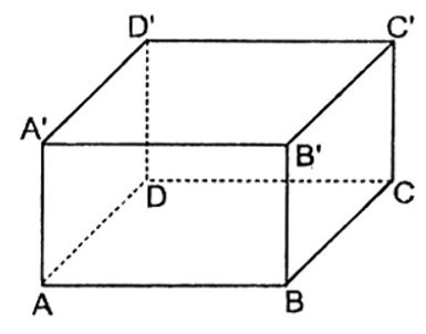 Trắc nghiệm Hình hộp chữ nhật (Tiếp theo) có đáp án - Toán lớp 8 (ảnh 14)