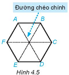Hãy quan sát Hình 4.5. Hãy kể tên các đường chéo chính của hình lục giác đều ABCDEF (ảnh 1)