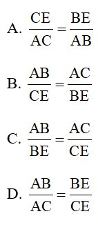 Trắc nghiệm Tính chất đường phân giác của tam giác có đáp án – Toán lớp 8 (ảnh 21)