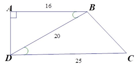 Trắc nghiệm Trường hợp đồng dạng thứ hai của tam giác có đáp án - Toán 8 (ảnh 22)