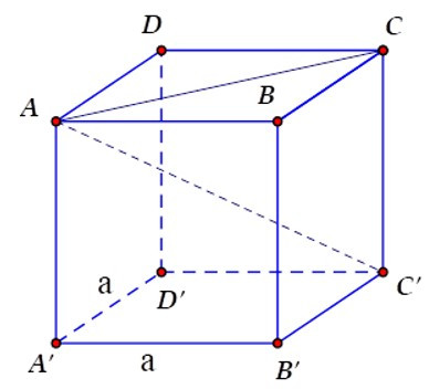 Trắc nghiệm Thể tích hình hộp chữ nhật có đáp án - Toán lớp 8 (ảnh 2)