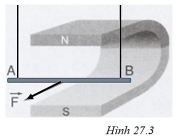 Áp dụng quy tắc bàn tay trái, xác định chiều dòng điện (ảnh 1)