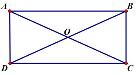 Trắc nghiệm Hình chữ nhật có đáp án - Toán lớp 8 (ảnh 12)