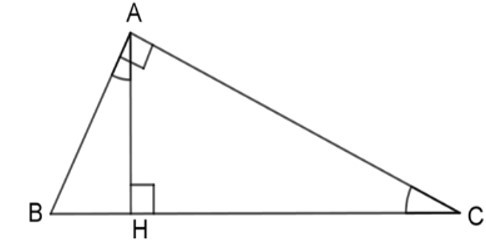 Trắc nghiệm Trường hợp đồng dạng của tam giác vuông có đáp án - Toán 8 (ảnh 18)