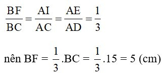 Trắc nghiệm Định lý Ta-lét trong tam giác có đáp án – Toán lớp 8 (ảnh 21)