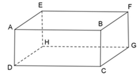 Trắc nghiệm Thể tích hình hộp chữ nhật có đáp án - Toán lớp 8 (ảnh 11)