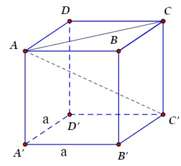 Trắc nghiệm Thể tích hình hộp chữ nhật có đáp án - Toán lớp 8 (ảnh 14)