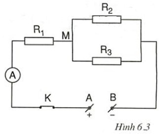 Cho mạch điện có sơ đồ như hình 6.3 (ảnh 1)