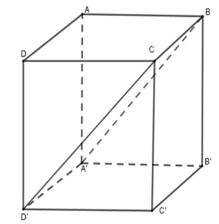 Trắc nghiệm Hình hộp chữ nhật có đáp án - Toán lớp 8 (ảnh 4)