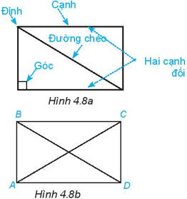 Quan sát hình chữ nhật ở Hình 4.8a. Nêu tên đỉnh, cạnh, đường chéo, hai cạnh đối (ảnh 1)
