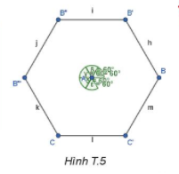 Hình lục giác ở hình T.5 có là lục giác đều không (ảnh 1)