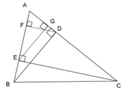 Trắc nghiệm Trường hợp đồng dạng thứ nhất của tam giác có đáp án – Toán lớp 8 (ảnh 9)