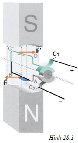 Biểu diễn lực điện từ tác dụng lên đoạn AB và CD của khung (ảnh 1)