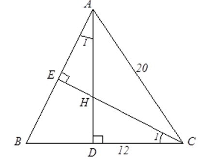 Trắc nghiệm Trường hợp đồng dạng của tam giác vuông có đáp án - Toán 8 (ảnh 24)