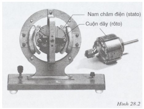 Nhận xét về sự khác nhau của hai bộ phận chính của nó (ảnh 1)